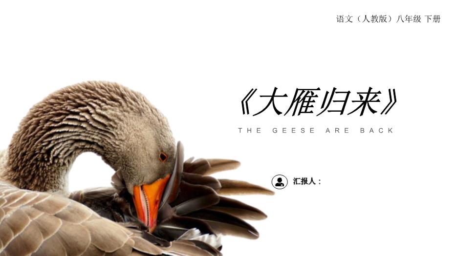 《大雁歸來(lái)》語(yǔ)文人教版八年級下冊PPT（優(yōu)質(zhì)）